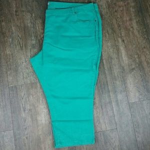 Woman Within Natural Fit 34wp Green Pants